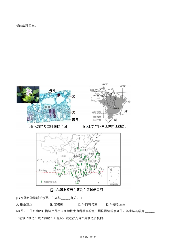 2022年上海闵行区中考生物二模试卷.docx 第2页