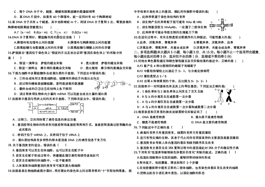 吉林四平市第三高级中学2022-2023学年高一下学期6月测试生物试题(含参考答案) 第2页