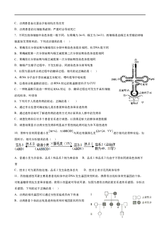 吉林辉南县第六中学2022-2023学年高一下学期5月半月考生物试卷(含参考答案) 第2页