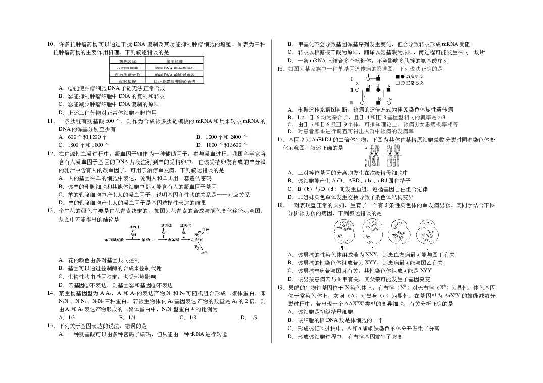 吉林长春市朝阳区长春外国语学校2022-2023学年高一下学期6月月考生物试题(含参考答案) 第2页