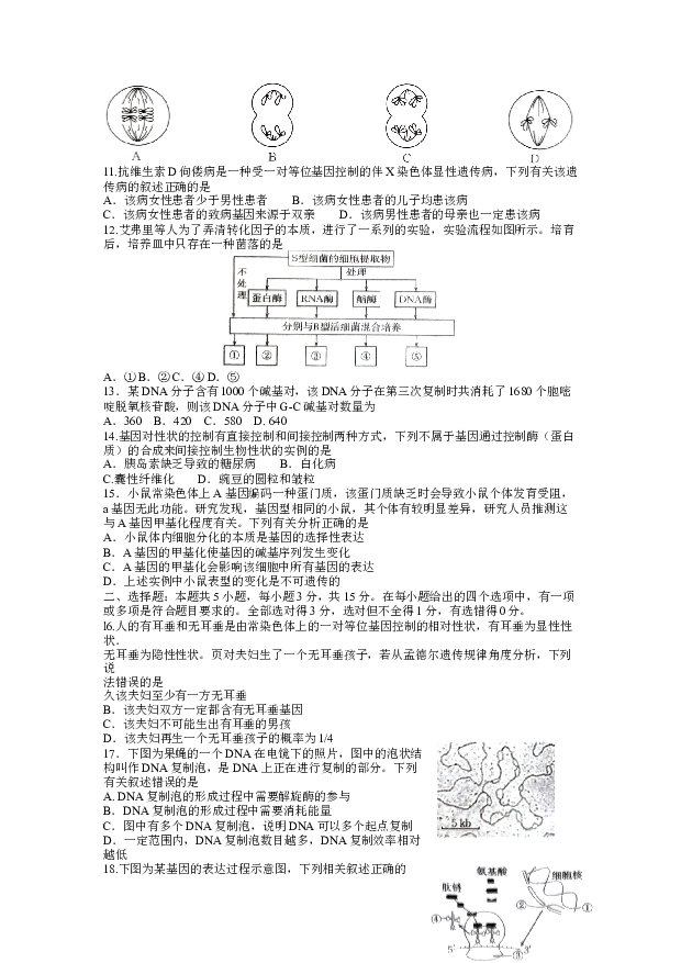 青海海东市2022-2023学年高一下学期6月联考生物试题(含参考答案) 第2页