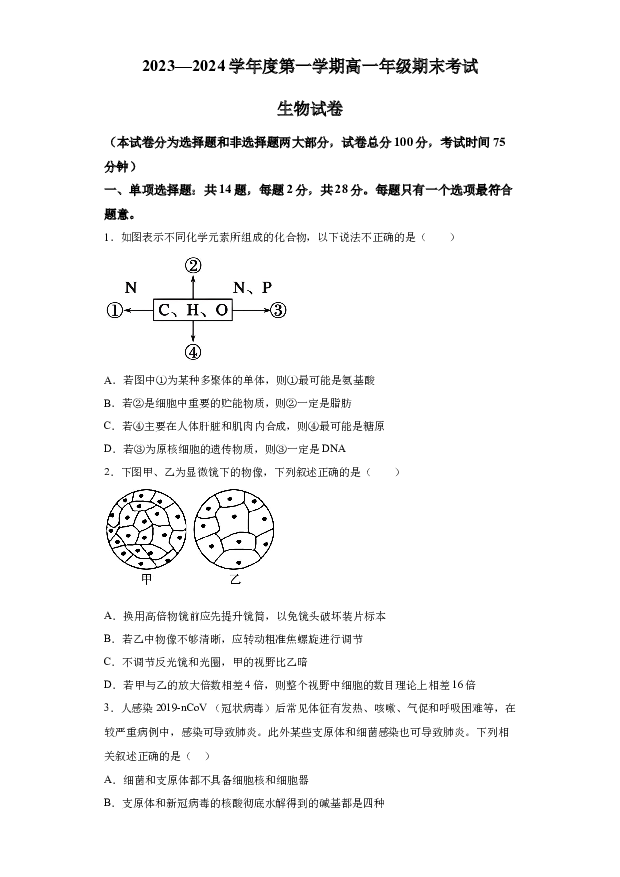 详解分析江苏盐城市亭湖区高级中学2023-2024学年高一上学期期末生物试题(含参考答案) 第1页