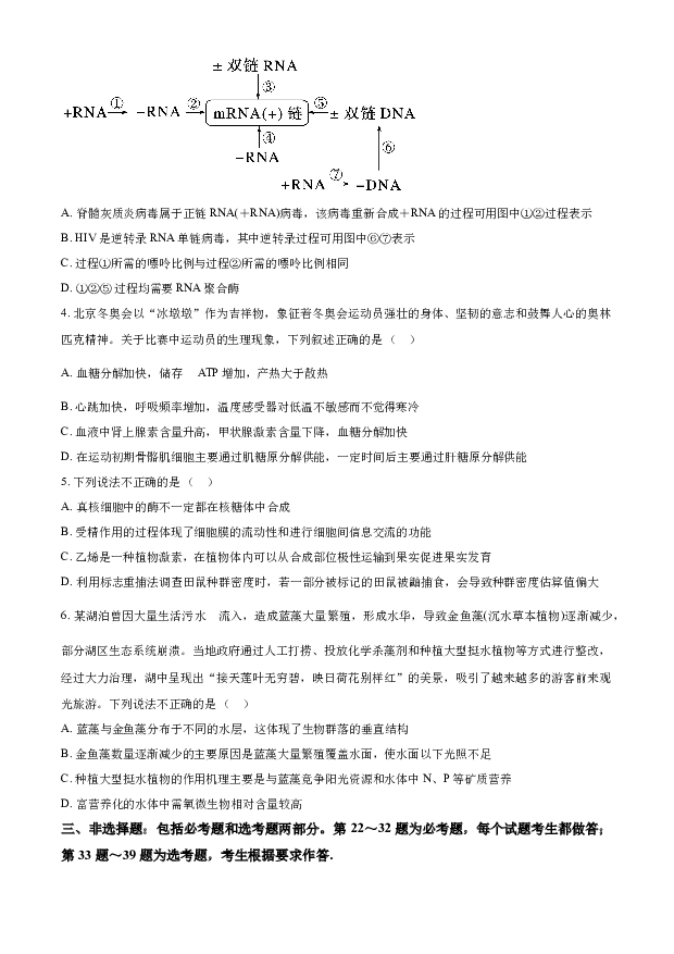 宁夏回族自治区银川一中2023-2024学年高三上学期第六次月考试题 理综生物 (含参考解析) 第2页