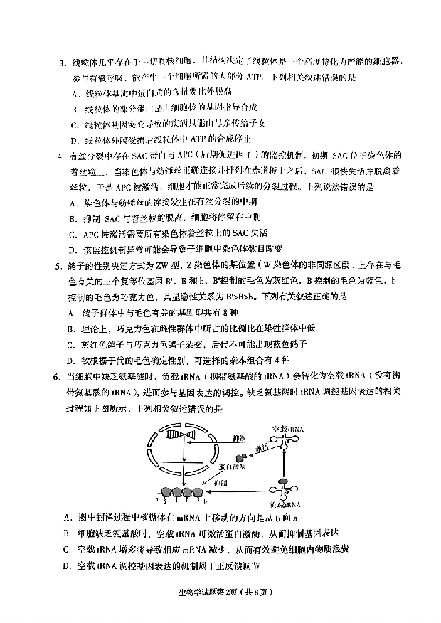 甘肃兰州市2024届高三下学期一模诊断考试 生物 .pdf 第2页