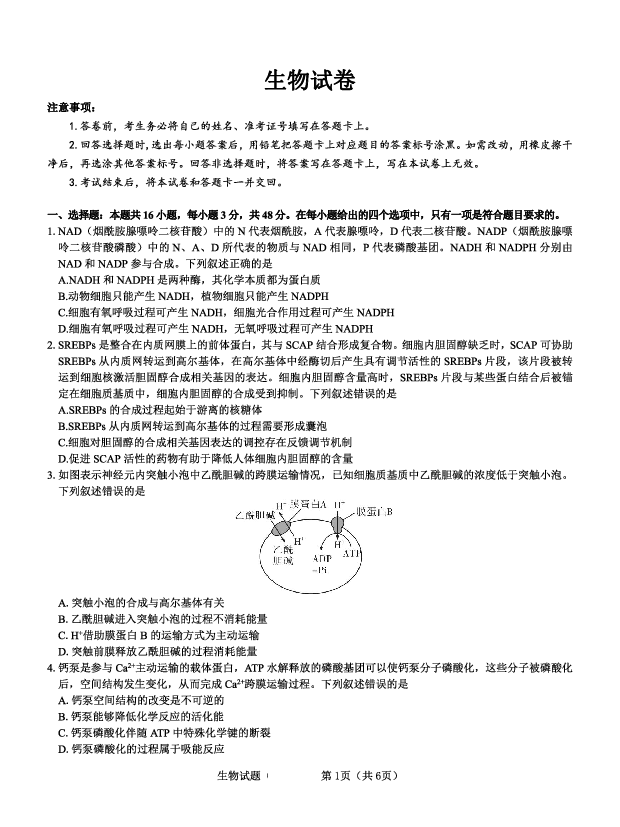 甘肃张掖市某校2023-2024学年高三下学期3月模拟考试 生物(含参考答案) 第1页