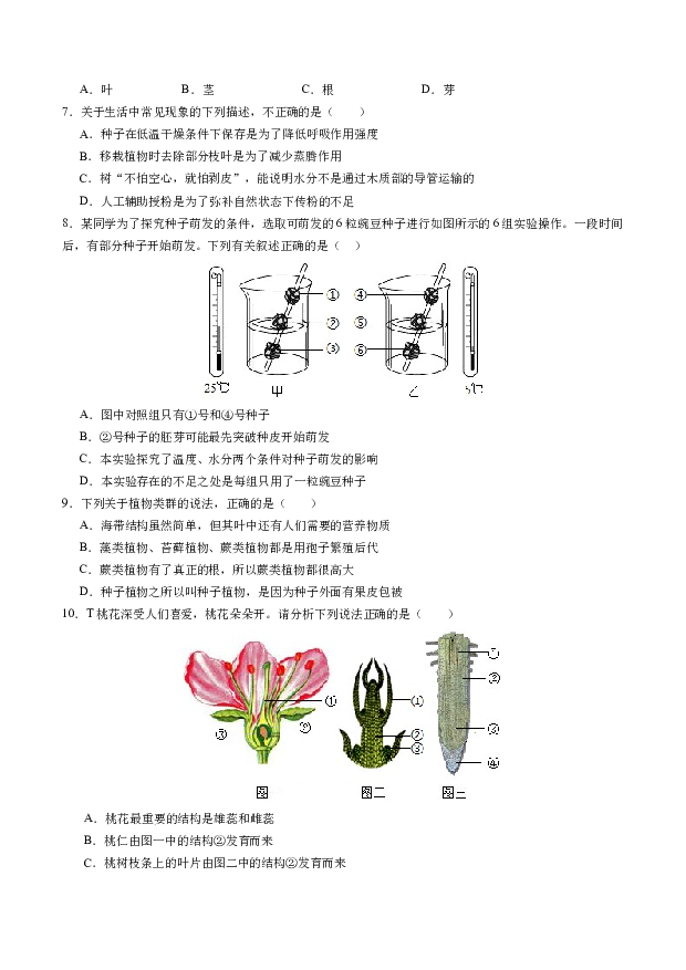 2024年中考第一次模拟考试（广东卷）.docx 第2页