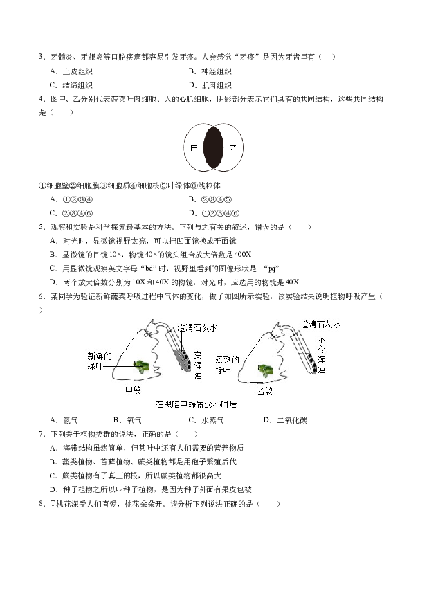 2024年中考第一次模拟考试（深圳卷）（全解全析）.docx 第2页