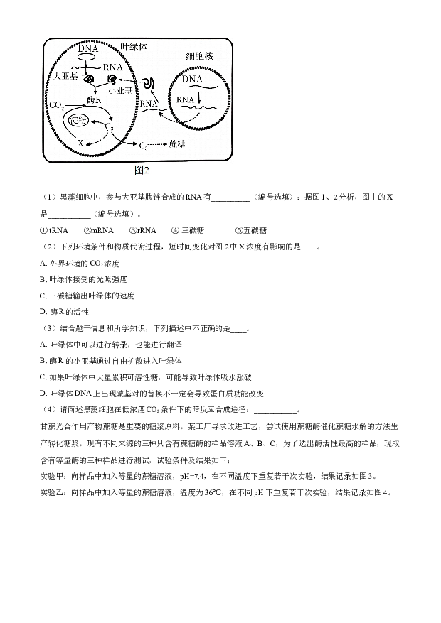 上海普陀区2023届高三下学期二模试题 生物 .docx 第2页