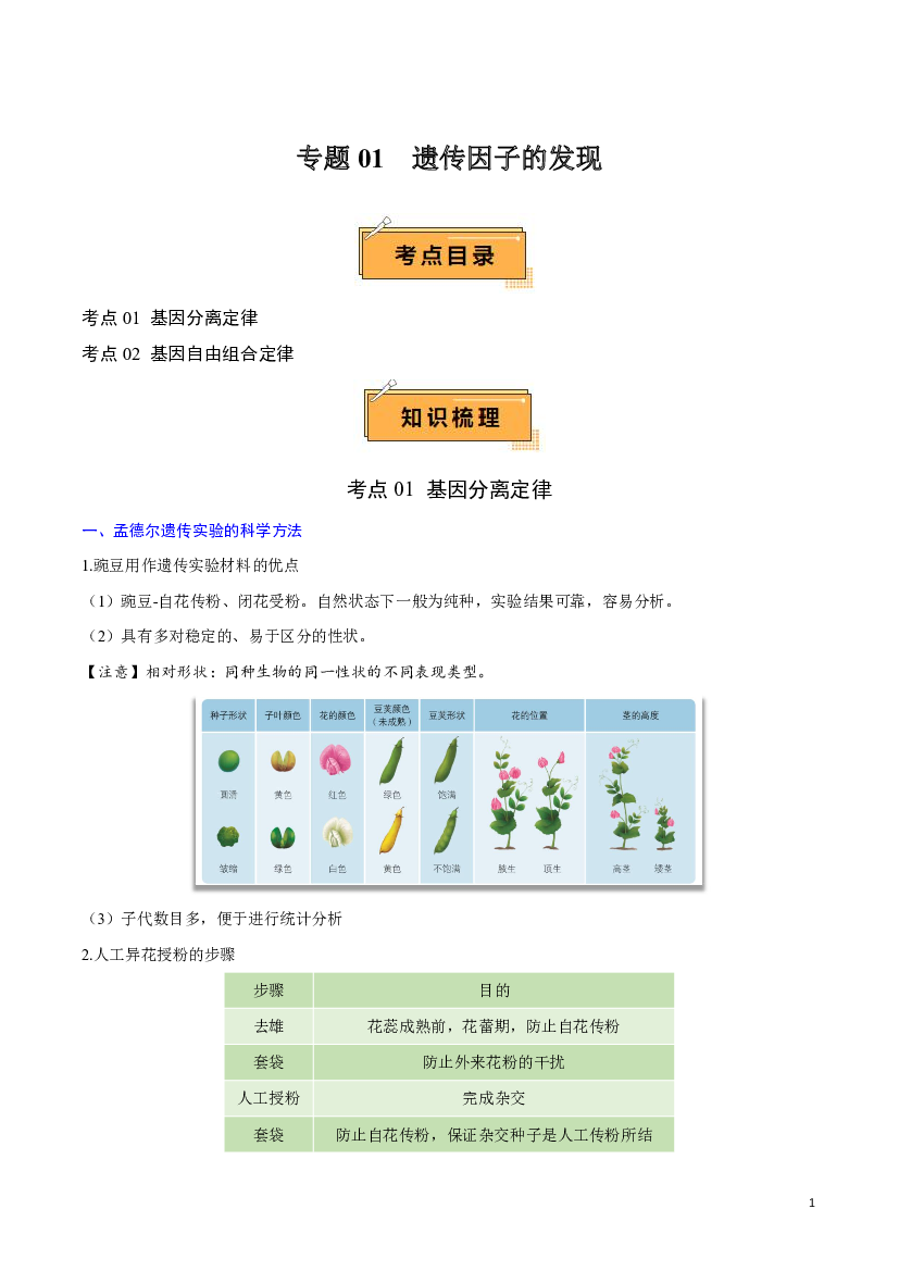 2024年高中生物学业水平考试必备考点归纳 专题01 遗传因子的发现.pdf 第1页