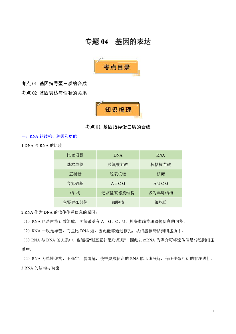 2024年高中生物学业水平考试必备考点归纳 专题04 基因的表达.pdf 第1页