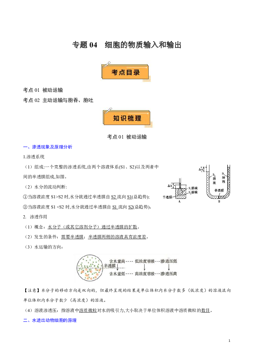 2024年高中生物学业水平考试必备考点归纳 专题04 细胞的物质输入和输出.pdf 第1页