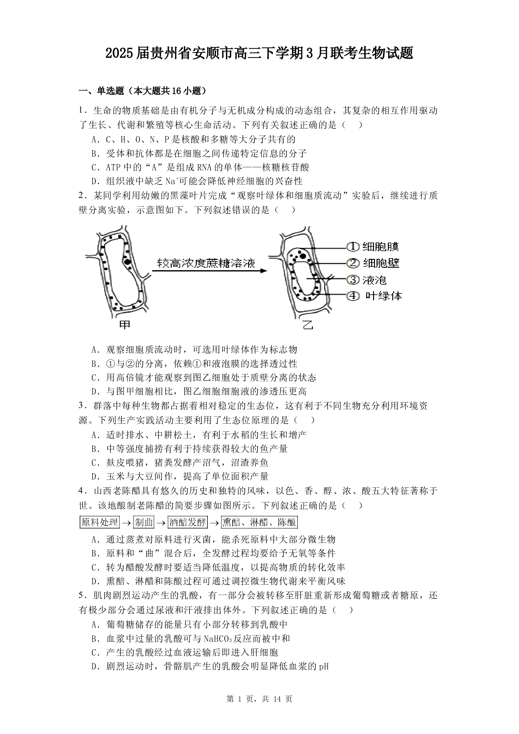 2025届贵州安顺市高三下学期3月联考生物试题.docx 第1页