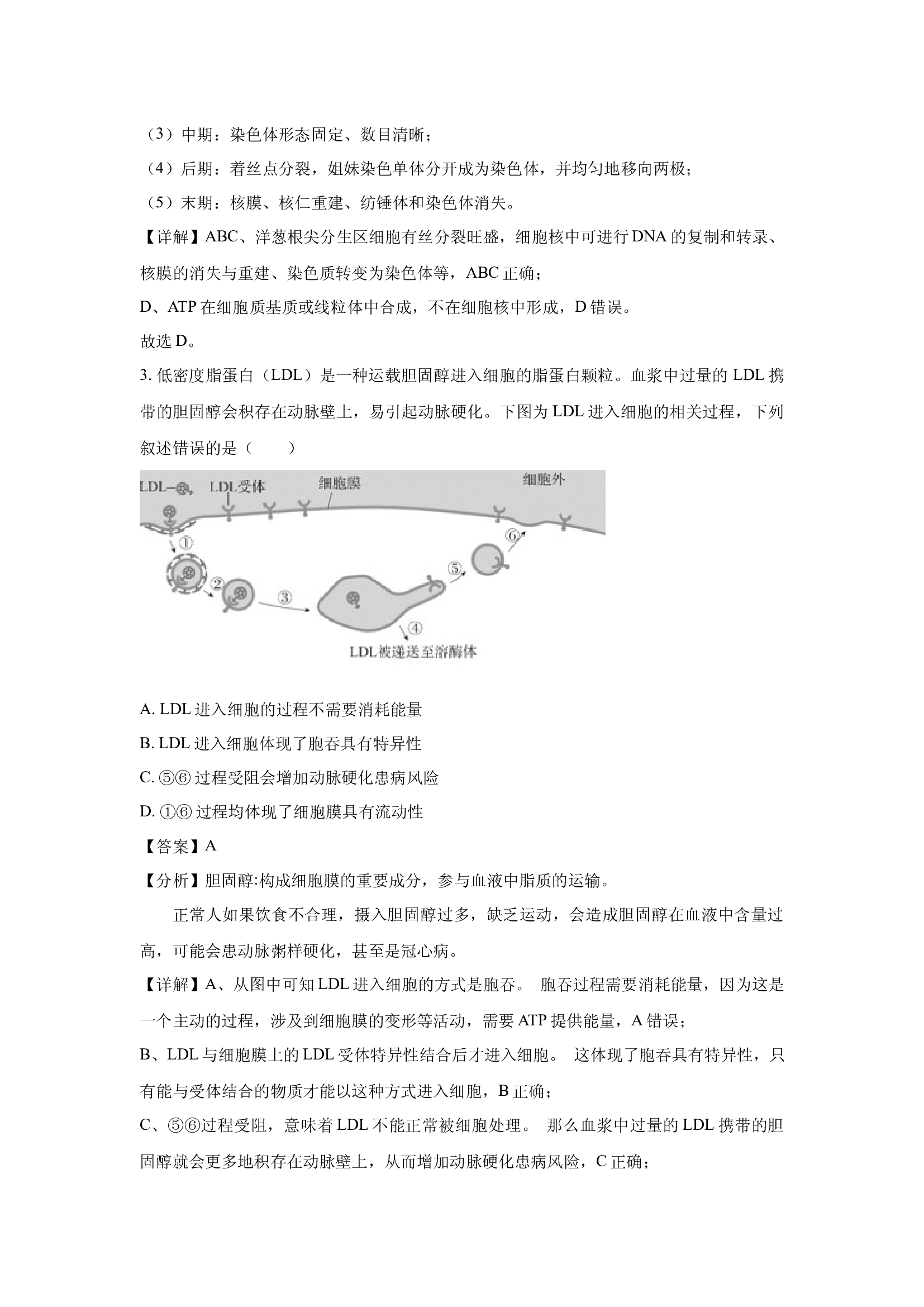 （生物试卷）北京东城区2025届高三一模(含参考解析) 第2页