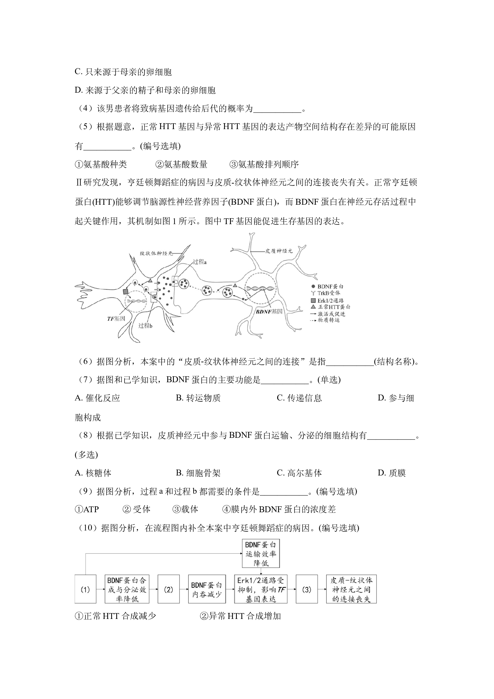 （生物试卷）上海松江区2024&mdash;2025学年高三下学期二模(含参考解析) 第2页