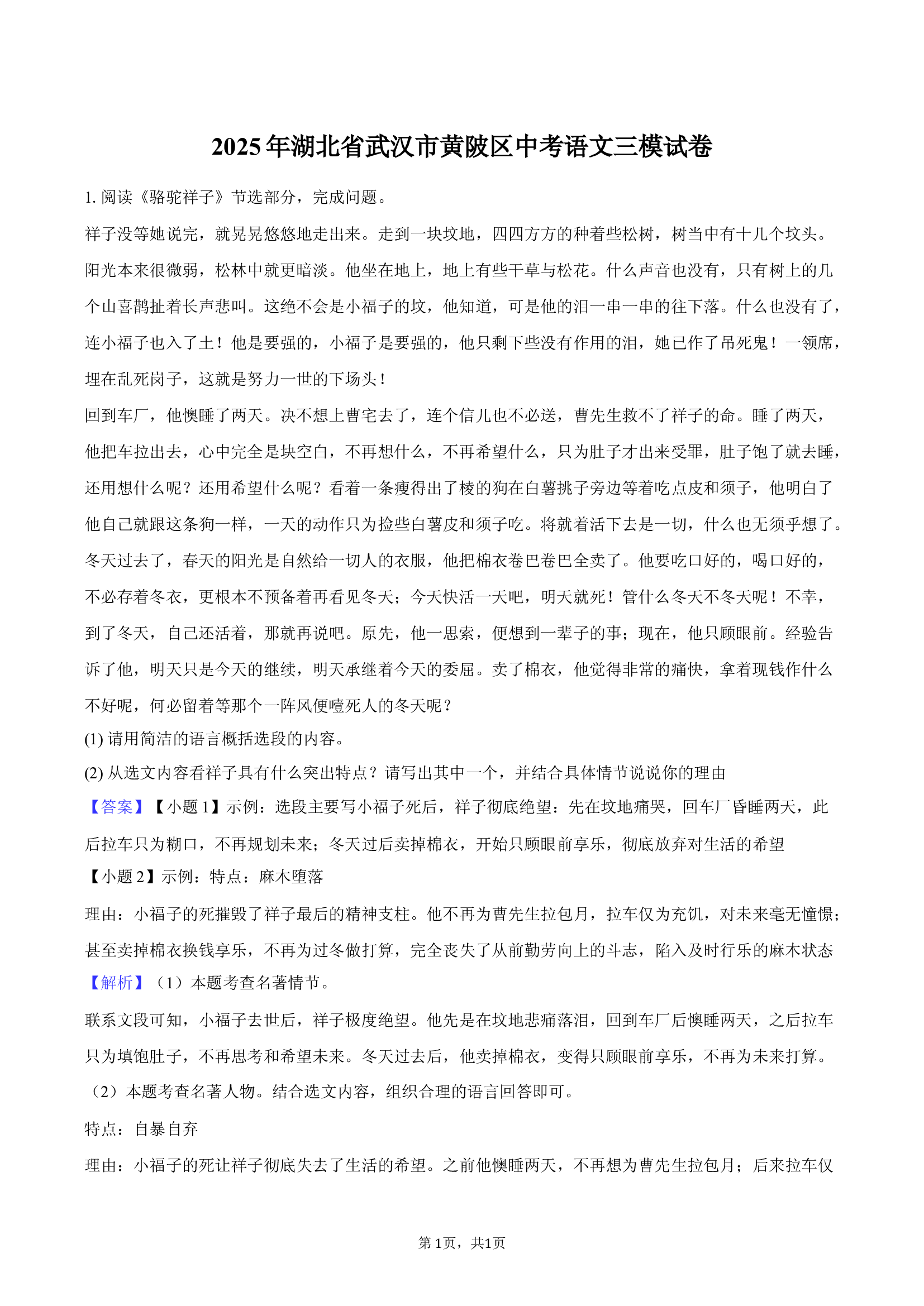 2025年湖北武汉市黄陂区中考语文三模试卷.docx 第1页