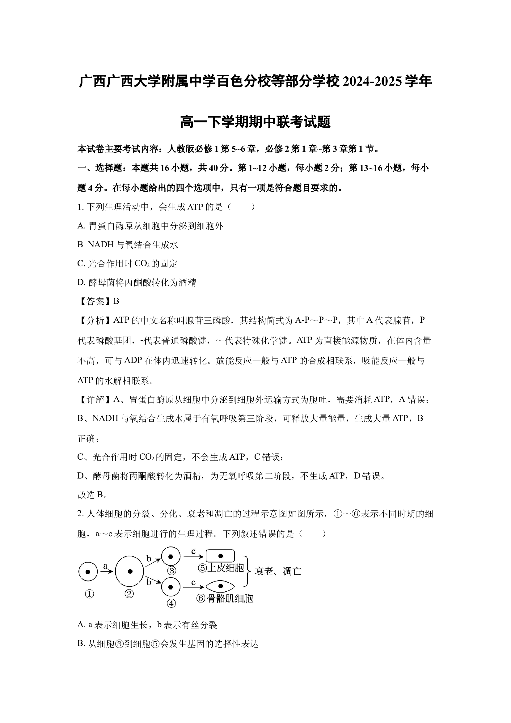 （生物试卷）广西广西大学附属中学百色分校等部分学校2024-2025学年高一下学期期中联考试题(含参考解析) 第1页