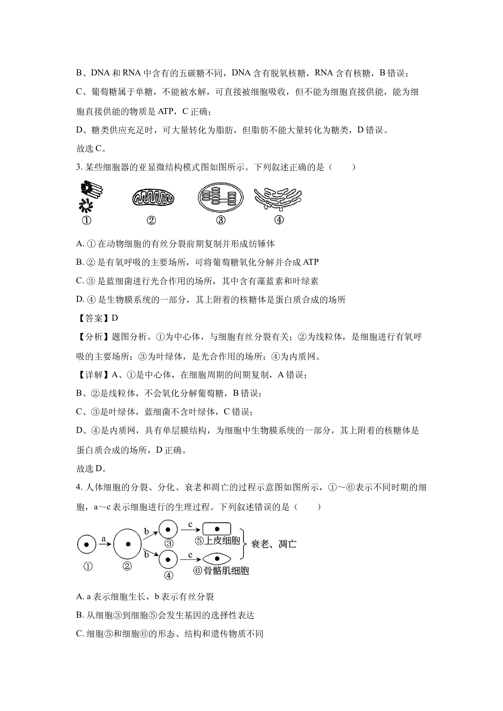（生物试卷）江西上饶市2024-2025学年高一下学期4月期中试题(含参考解析) 第2页