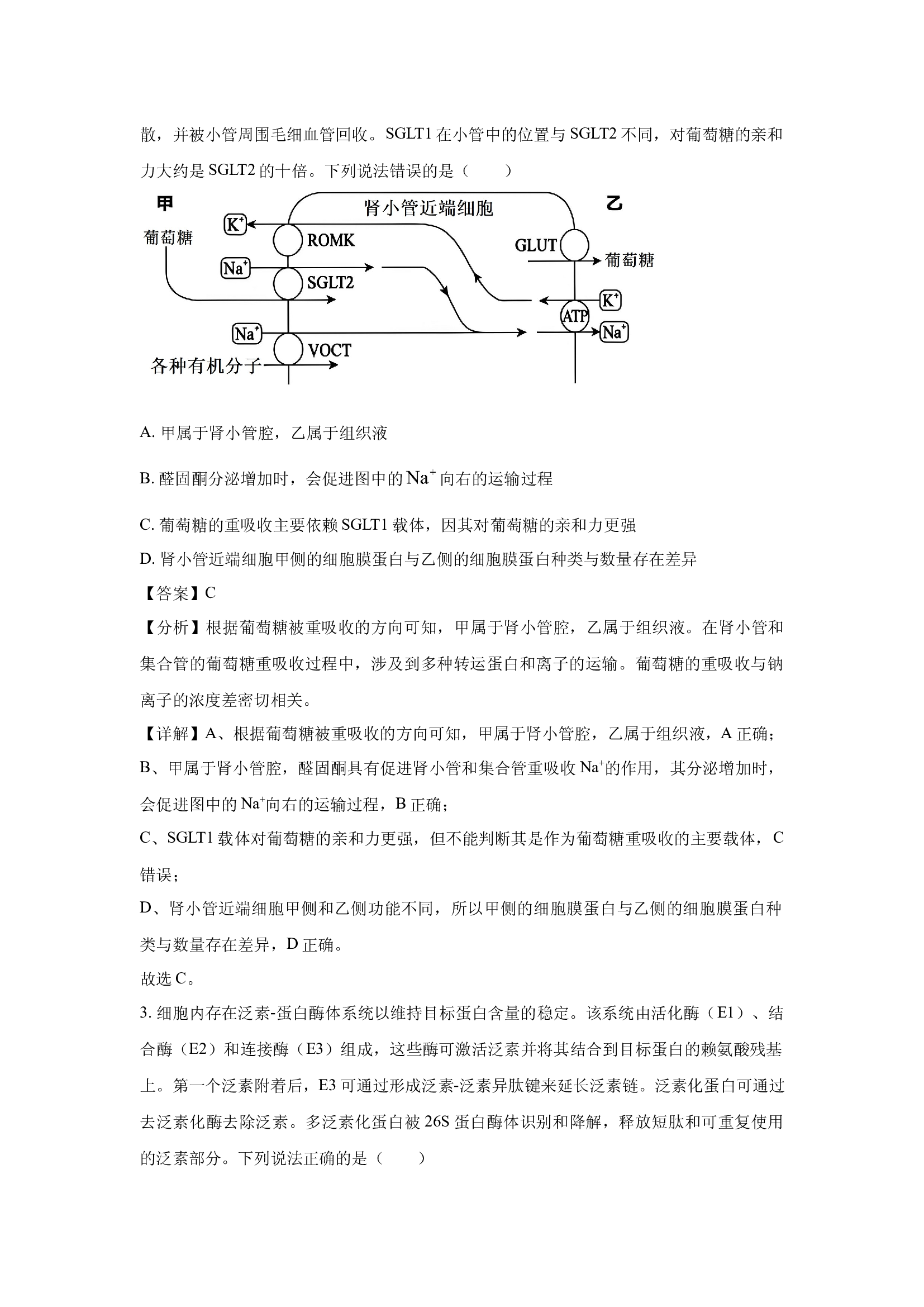 （生物试卷）山东名校2025届高三4月校际联合检测(含参考解析) 第2页