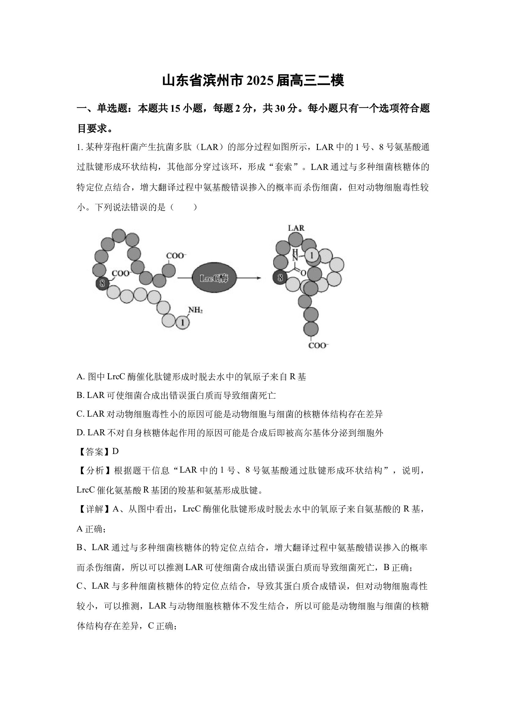 （生物试卷）山东滨州市2025届高三二模(含参考解析) 第1页