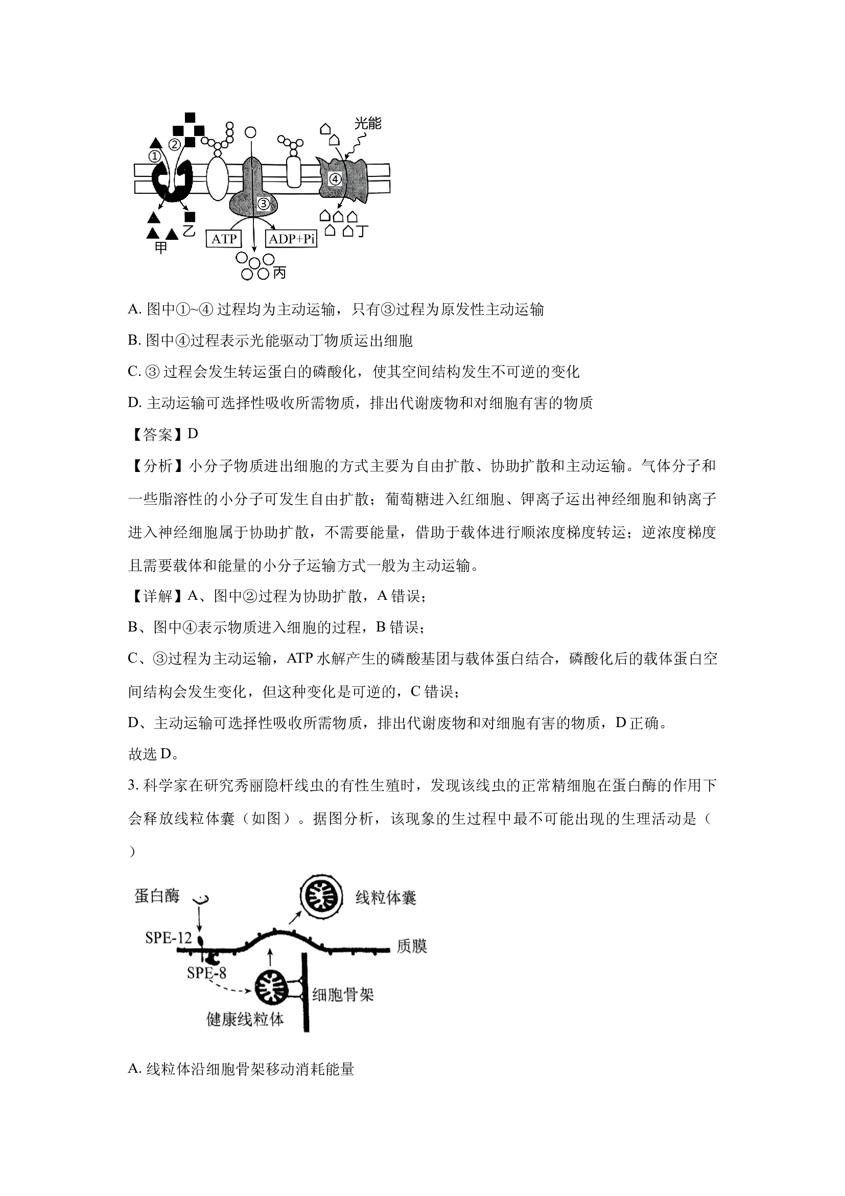 （生物试卷）山东泰安市2025届高三三模(含参考解析) 第2页