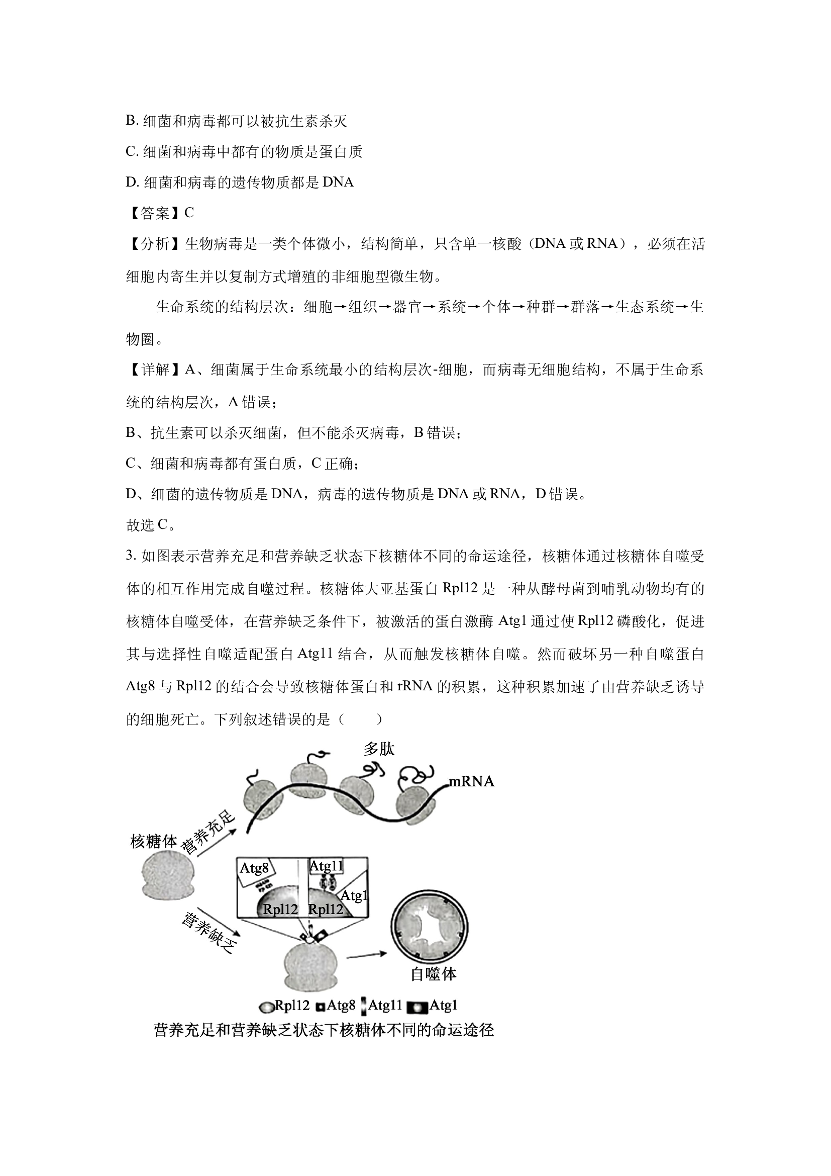 （生物试卷）山西2025届高三5月青桐鸣大联考(含参考解析) 第2页