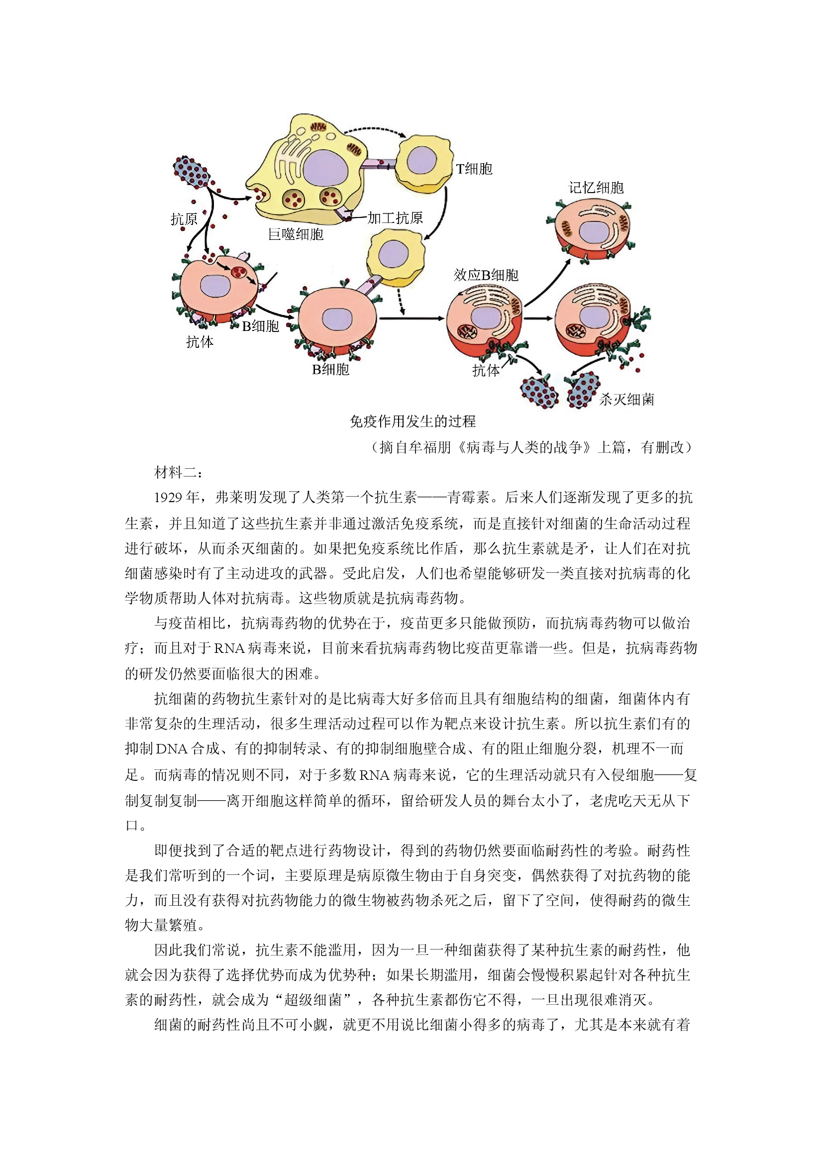 （语文试卷）广东广州市普通高中2025届高三冲刺（四）试题(含参考解析) 第2页