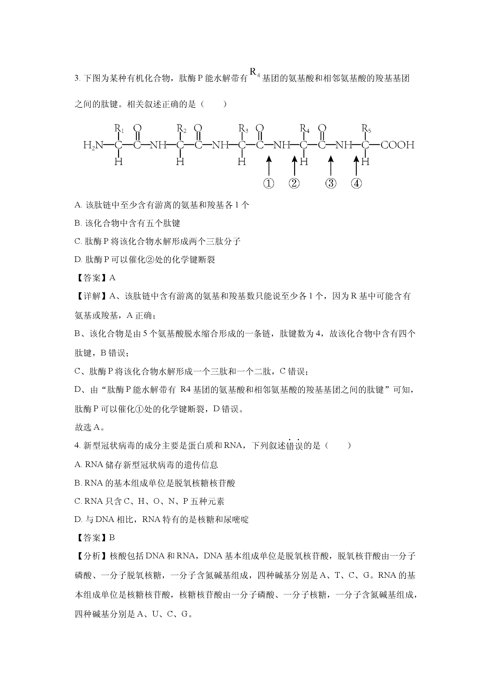 （生物试卷）四川雅安市天立教育集团2023-2024学年高一下学期开学考试试题(含参考解析) 第2页