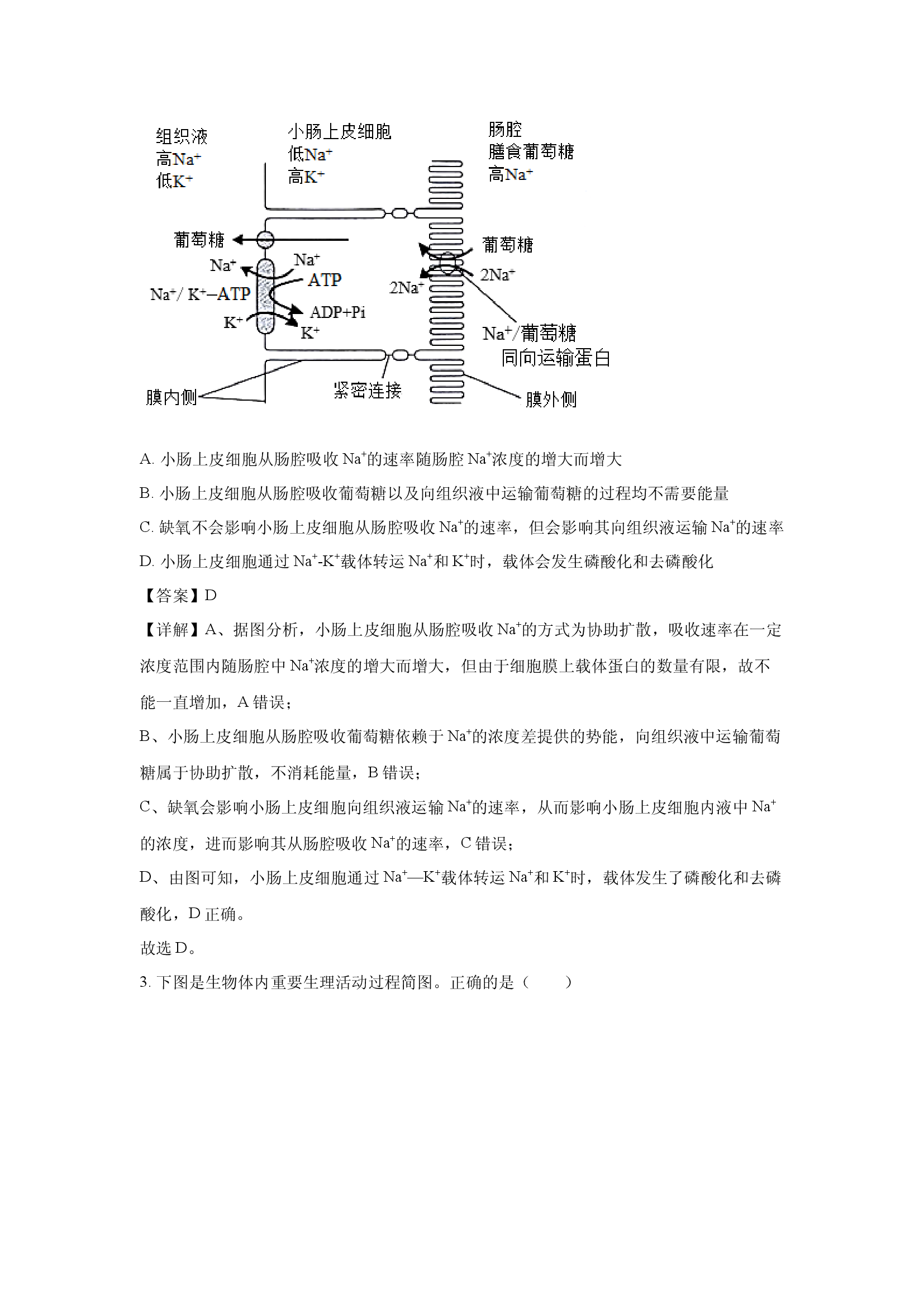 湖南岳阳市华容县2024-2025学年高一生物下学期期末考试试题(含参考解析) 第2页