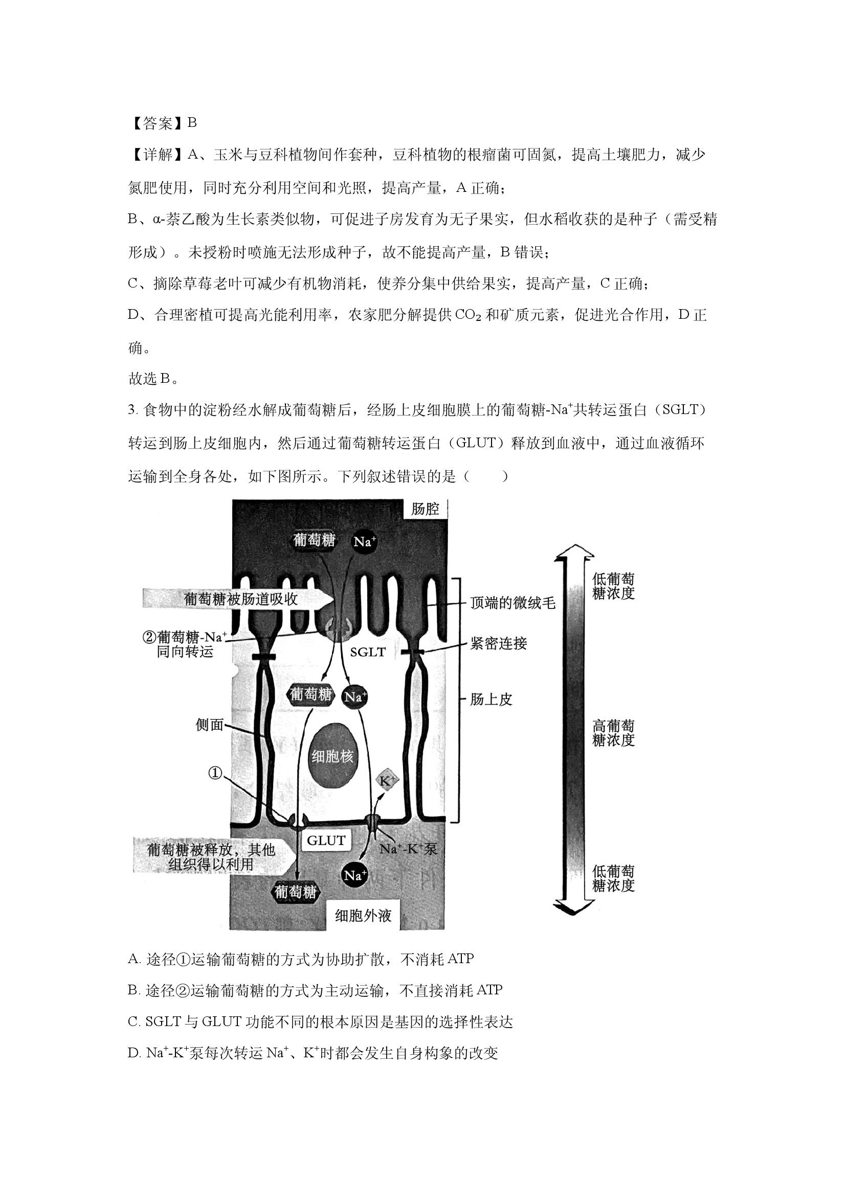（生物试卷）河南新未来2025-2026学年高三上学期9月联合测评(含参考解析) 第2页