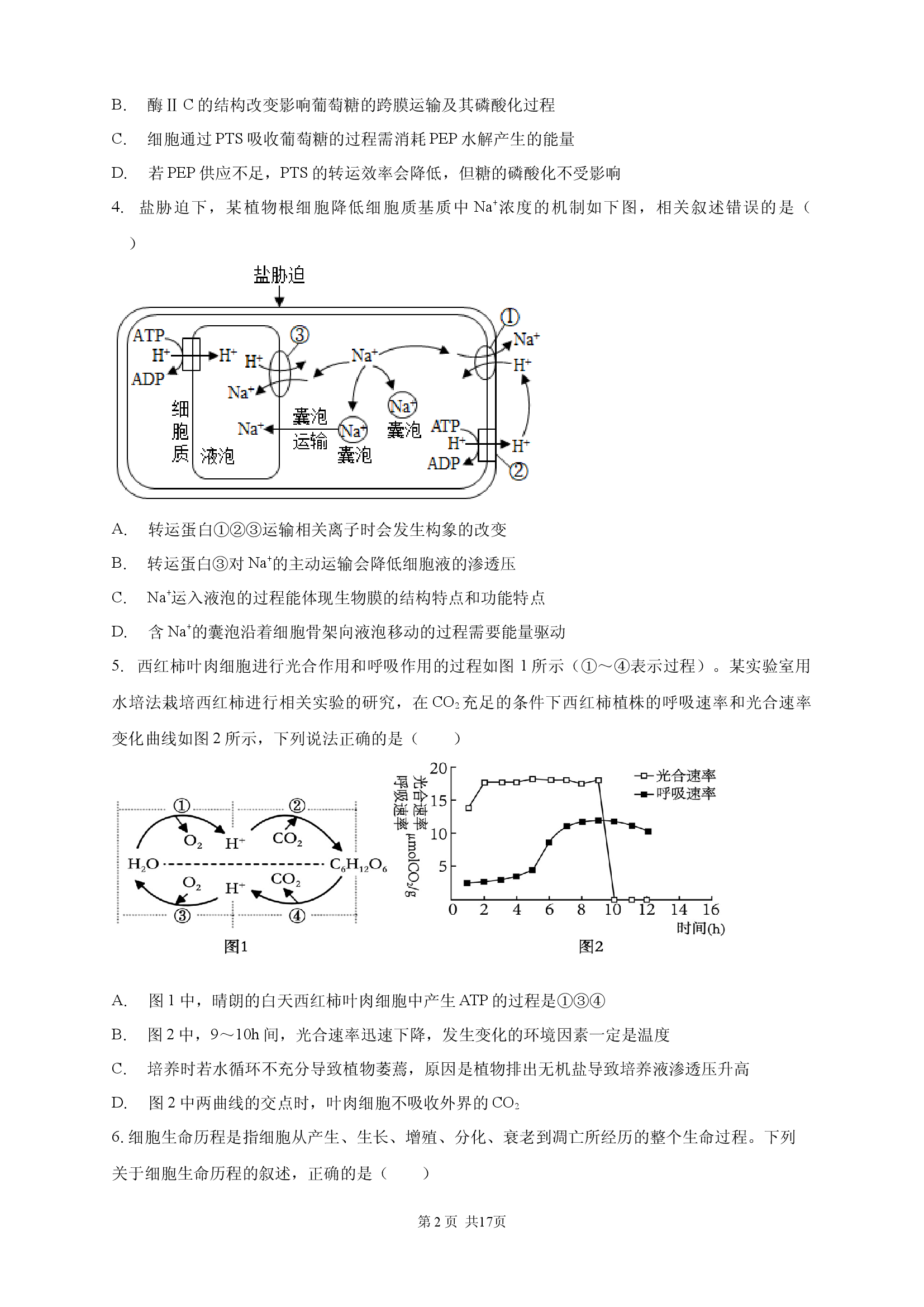 安徽定远育才学校2025-2026学年高三（上）11月月考试卷生物试题.docx 第2页
