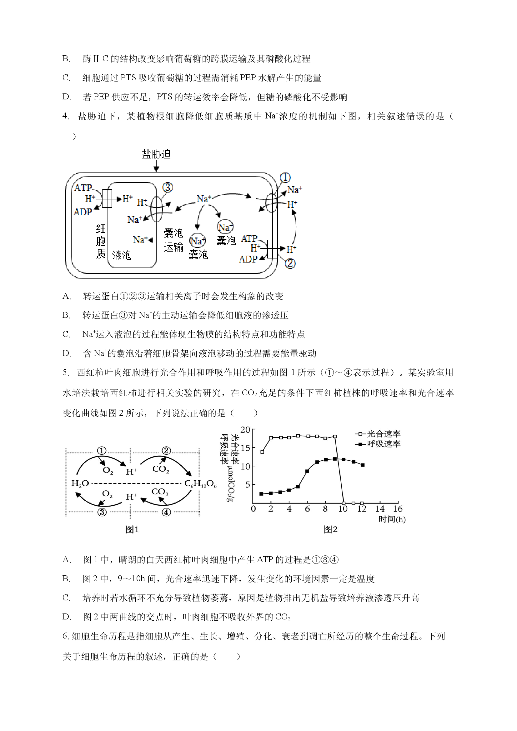 定远育才学校2025-2026学年高三（上）11月月考试卷生物试题.docx 第2页