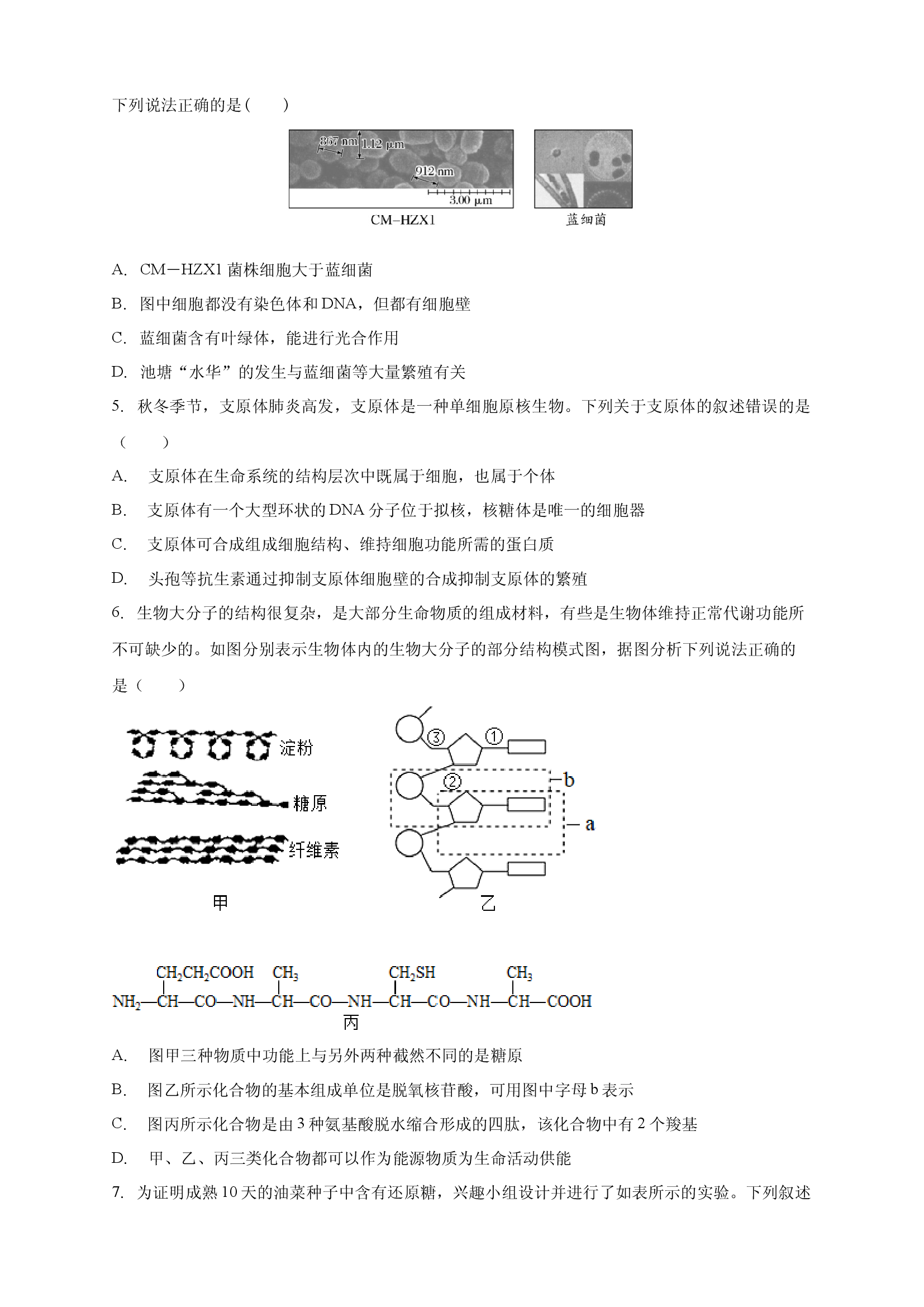 安徽定远育才学校2025-2026学年高一（上）周测12生物试题.docx 第2页