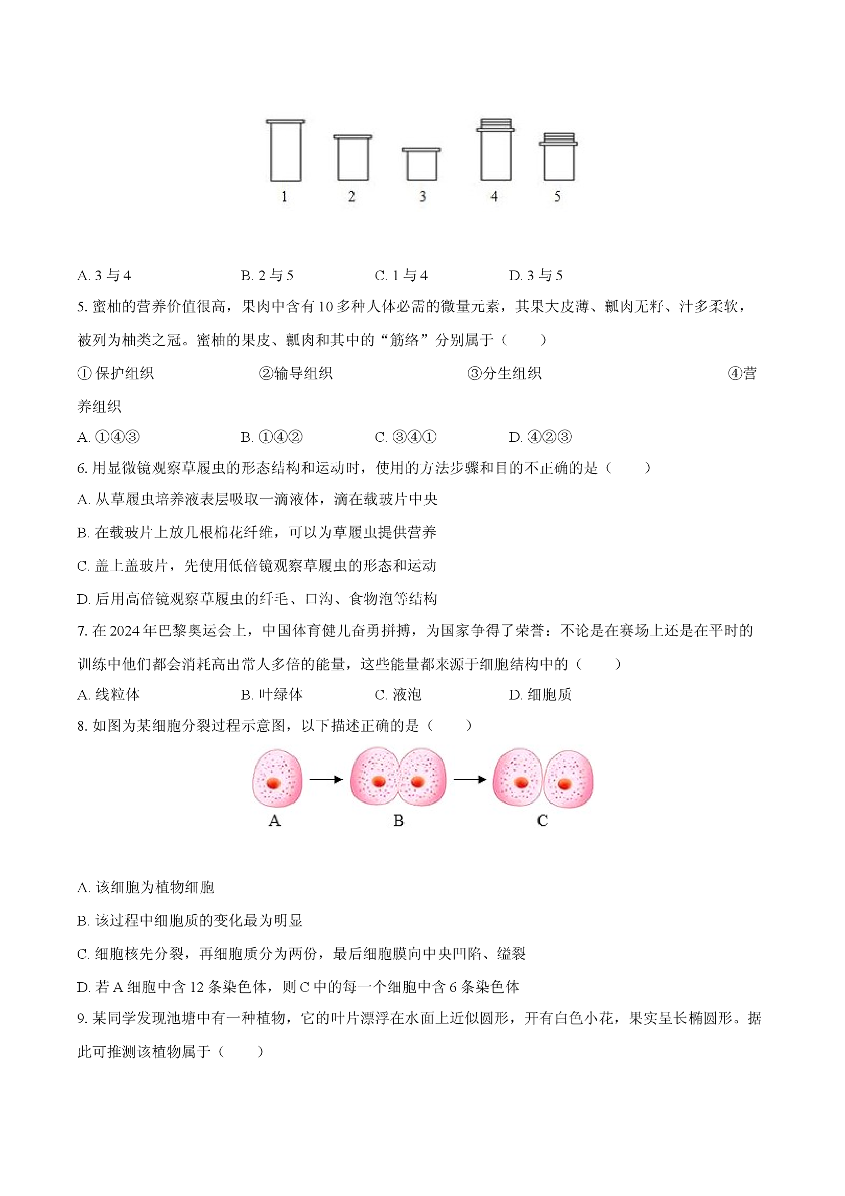 安徽定远育才学校2025-2026学年七年级（上）期中检测生物试题.docx 第2页