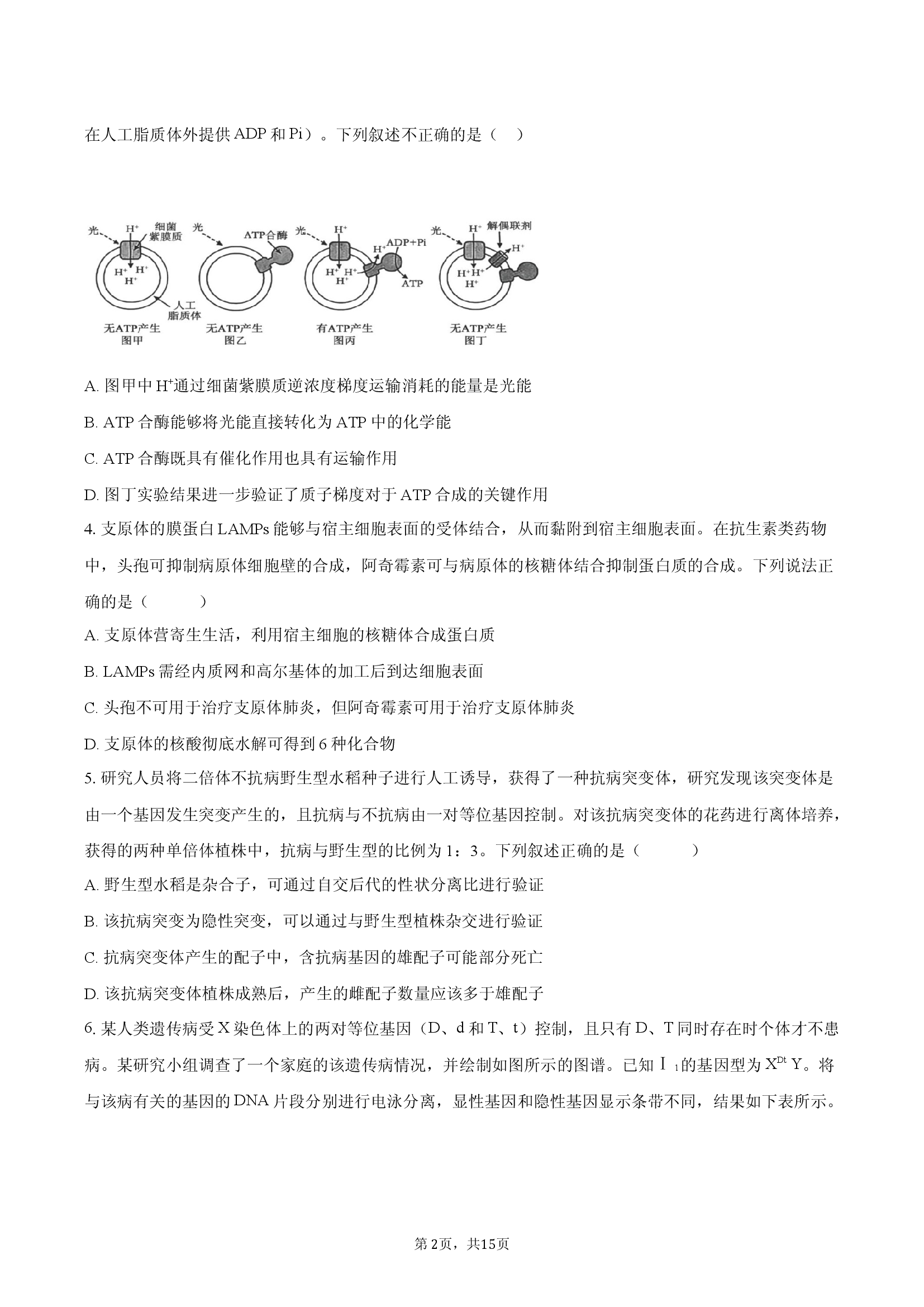 安徽滁州市2025-2026学年高三上学期期末模拟生物试卷.docx 第2页