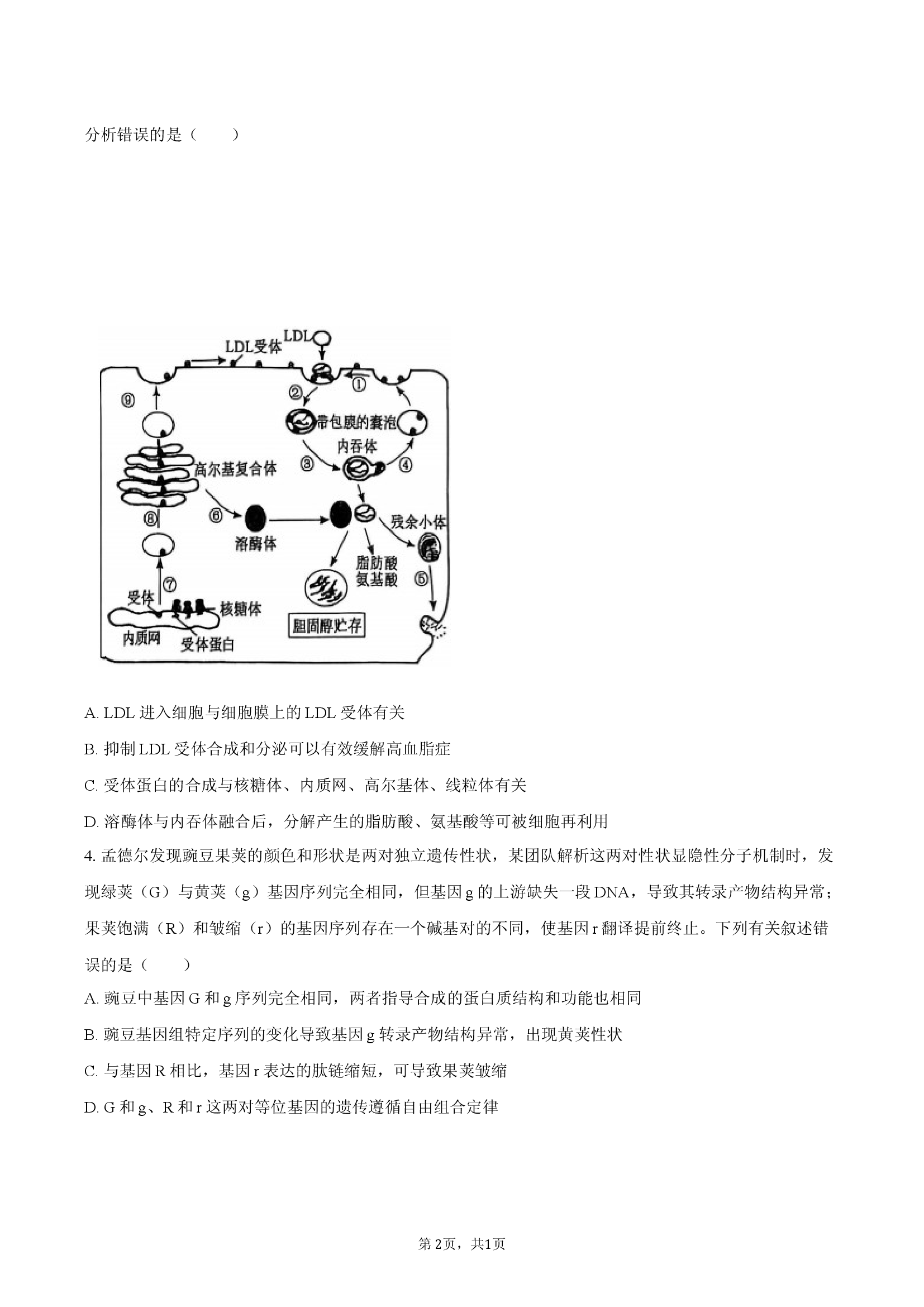 安徽滁州市2025-2026学年高三（上）期末模拟生物试卷.docx 第2页