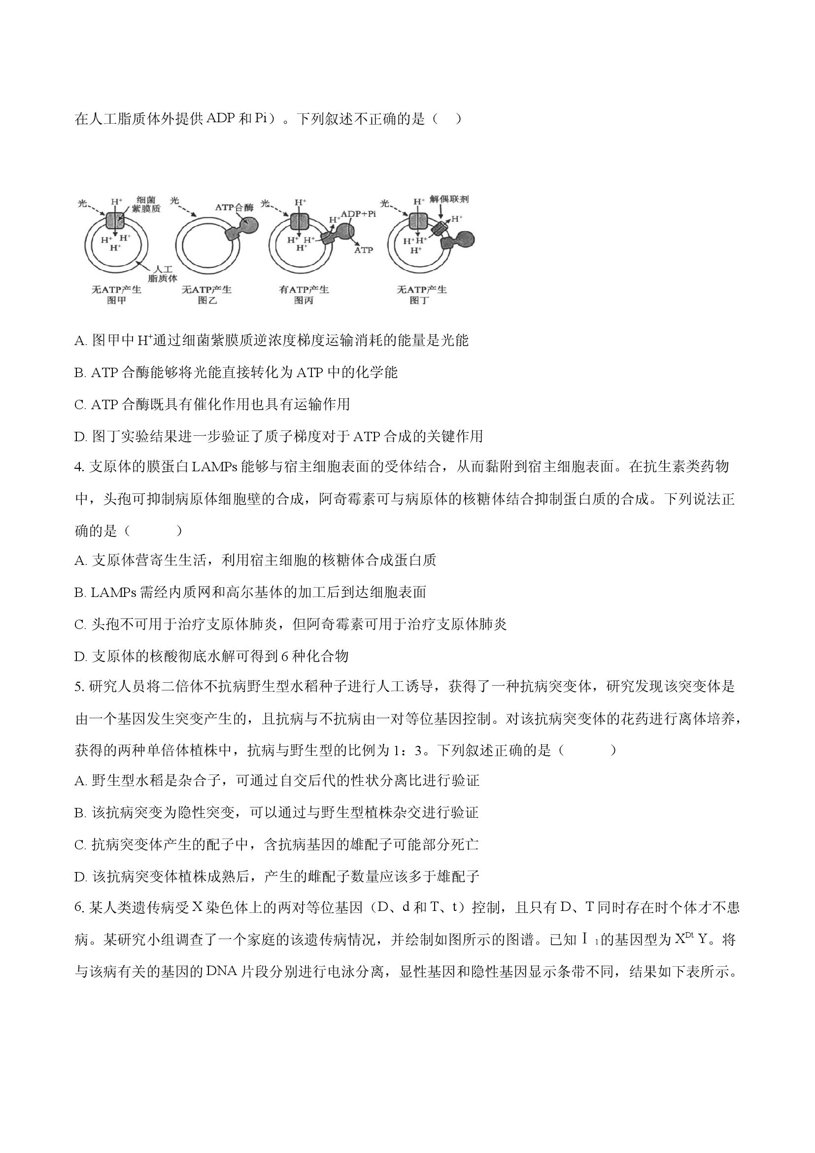 安徽滁州市2025-2026学年高三上学期期末模拟生物试卷.docx 第2页