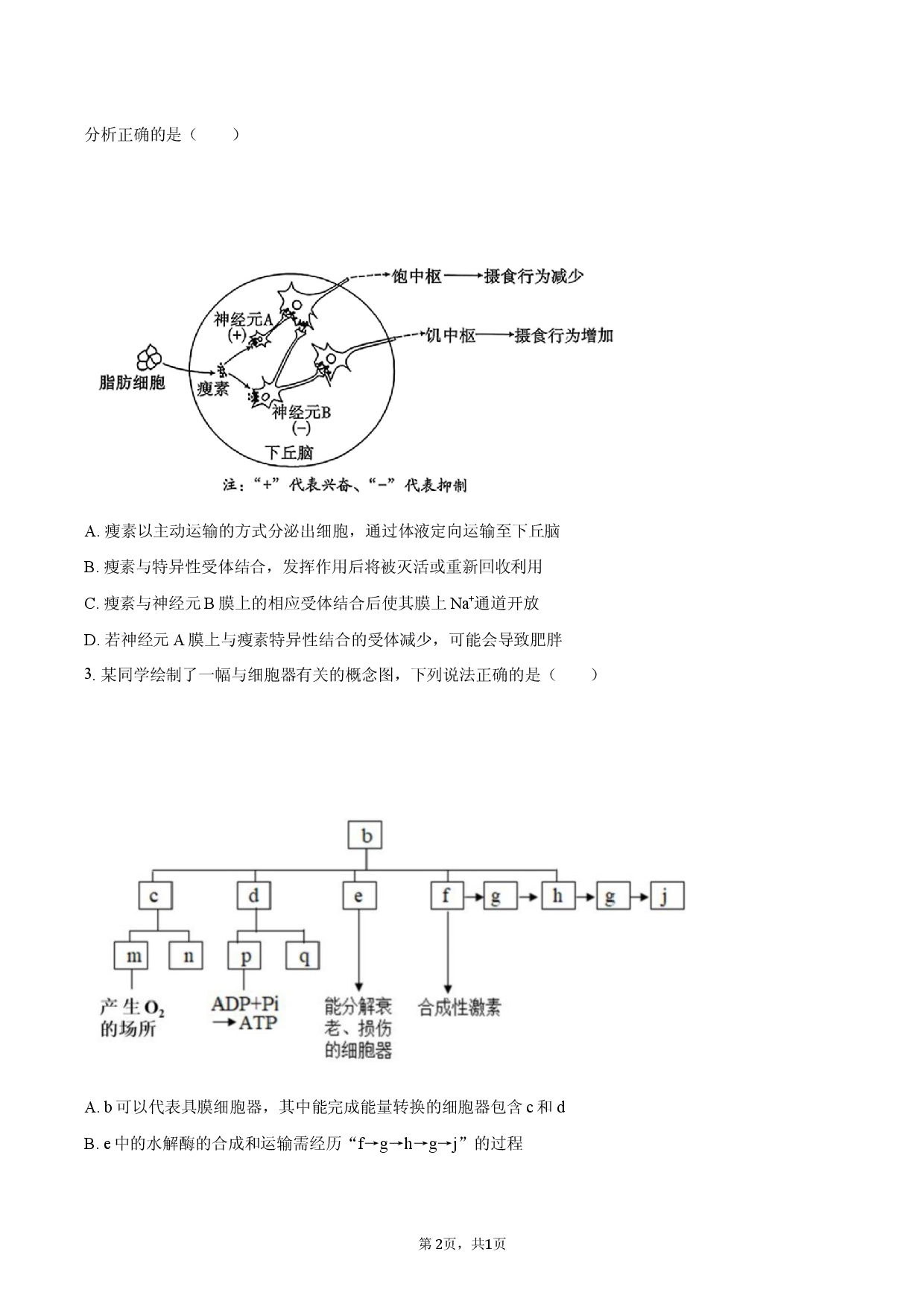 山东省青岛市2025-2026学年高三（上）期末模拟生物试卷.docx 第2页
