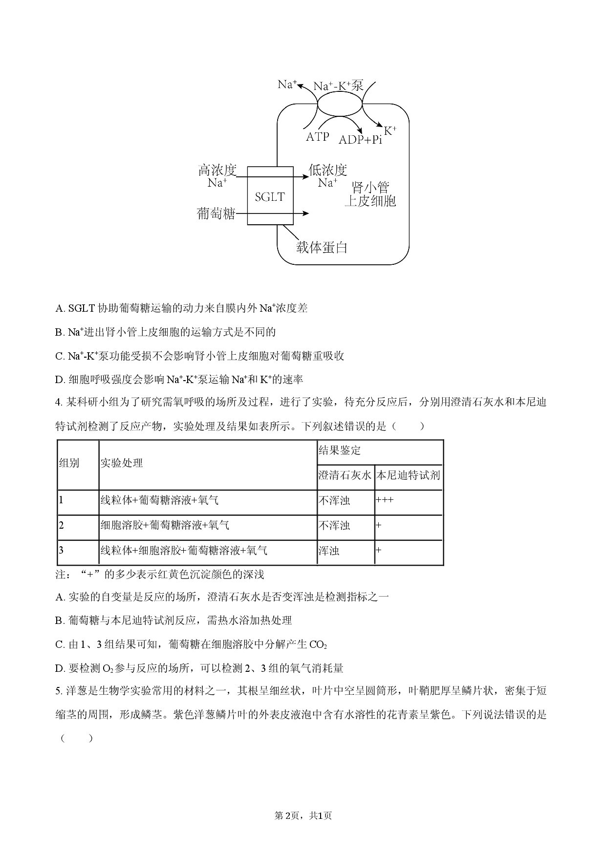 山东省烟台市2025-2026学年高三（上）期末模拟生物试卷.docx 第2页
