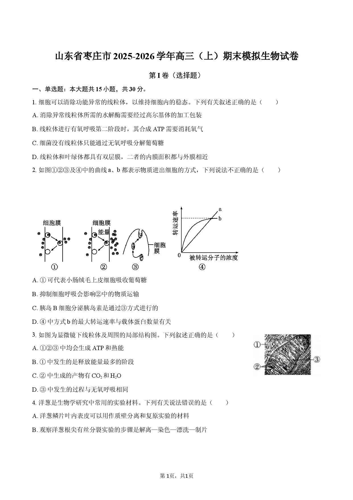 山东省枣庄市2025-2026学年高三（上）期末模拟生物试卷.docx 第1页