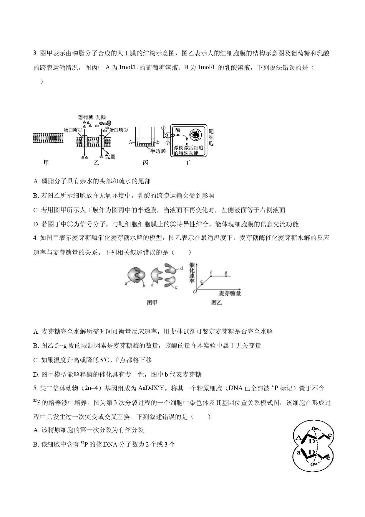 定远育才学校2025-2026学年高三（下）开学考试生物试卷.docx 第2页