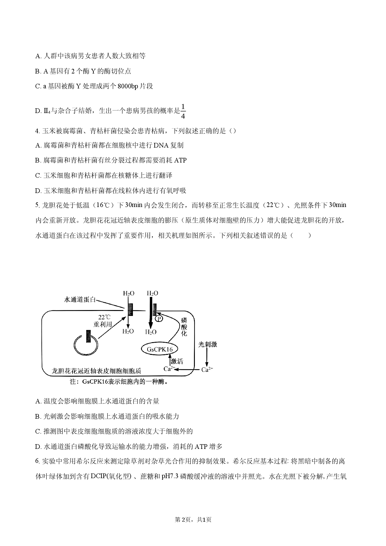 湖北省2026届高三高考生物学模拟试题.docx 第2页