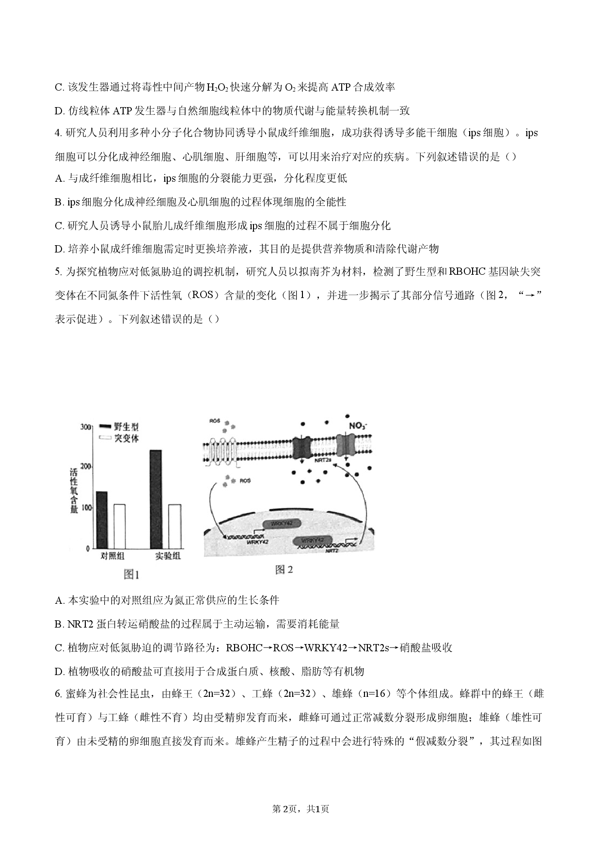 湖北宜昌市第一中学等校2025&mdash;2026学年度第一学期高三第二次联考生物试卷.docx 第2页