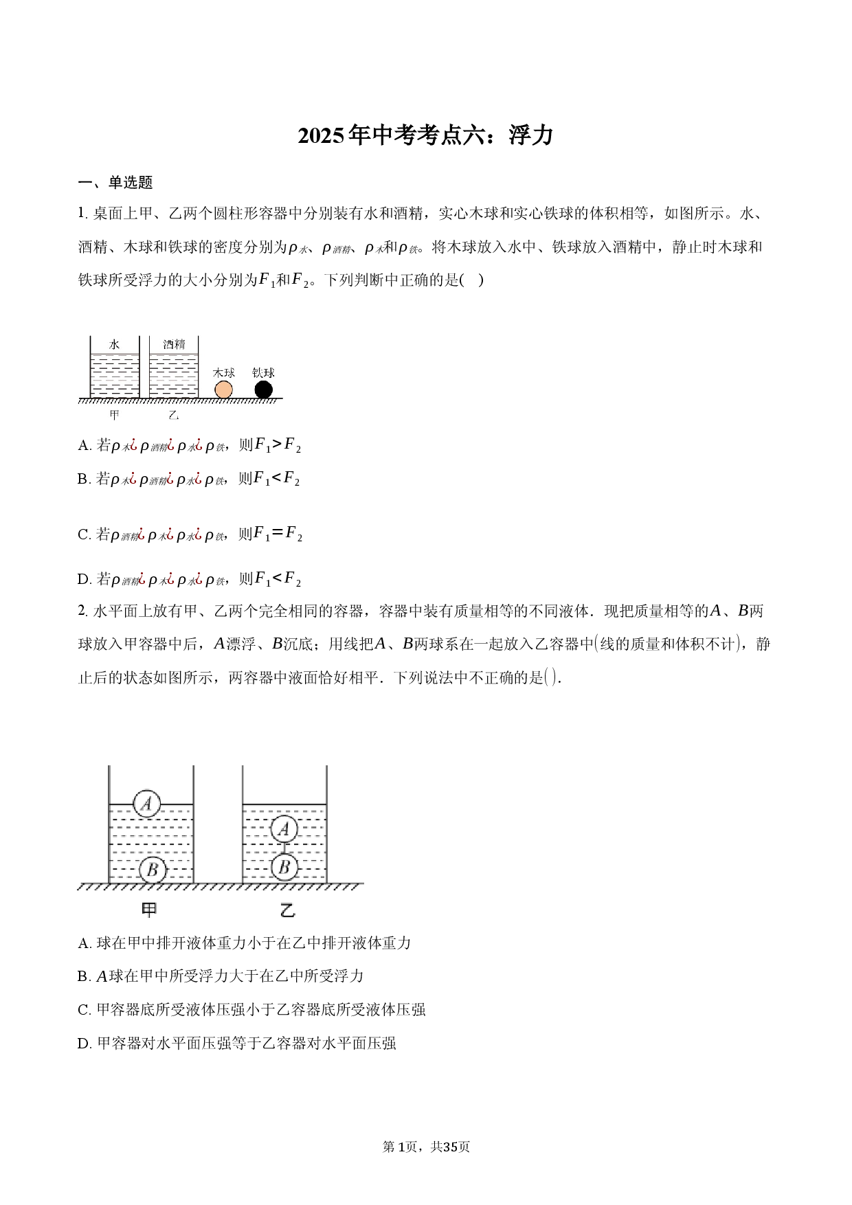 2025年中考考点六：浮力.docx 第1页