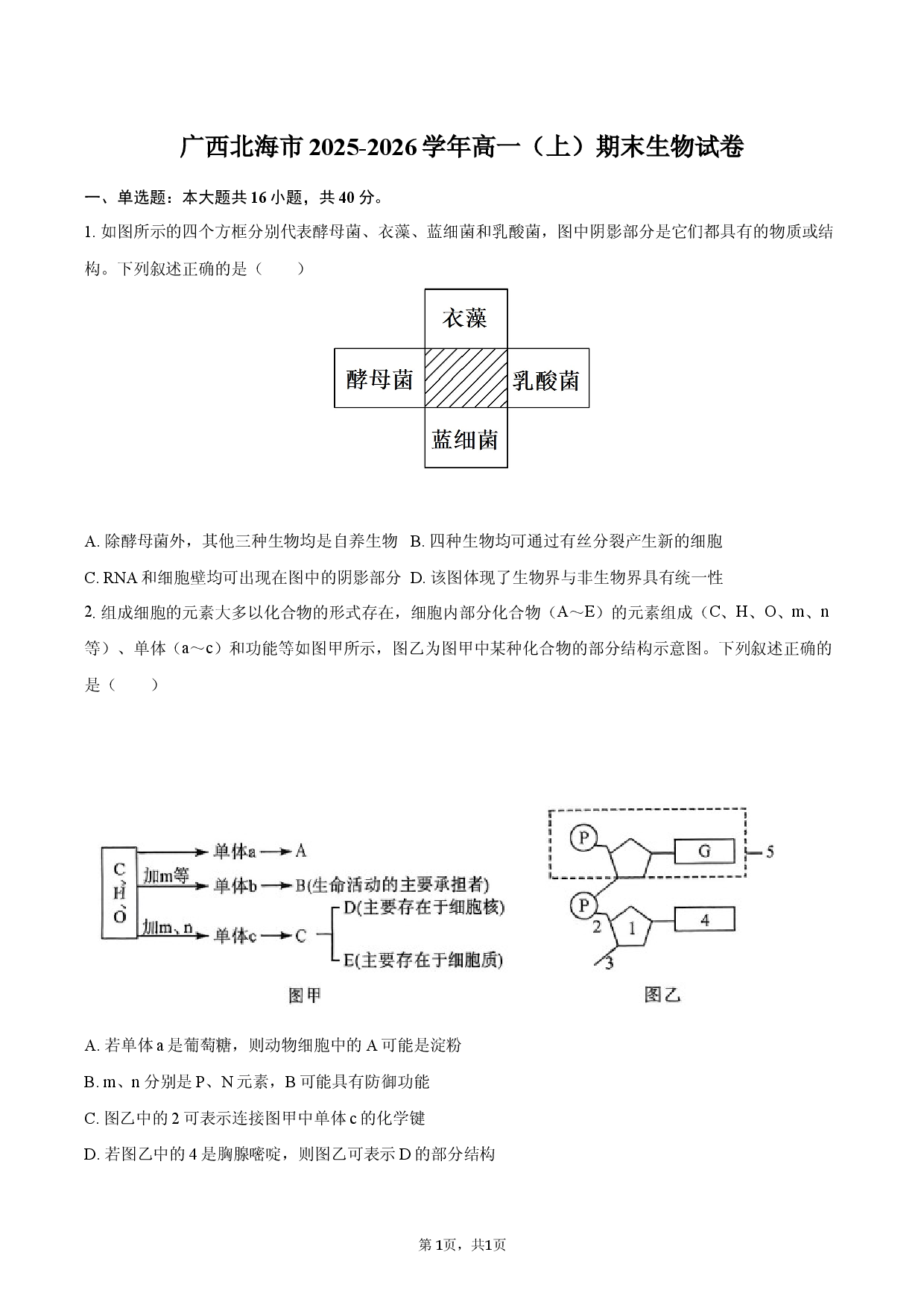 广西北海市2025-2026学年高一（上）期末生物试卷.docx 第1页
