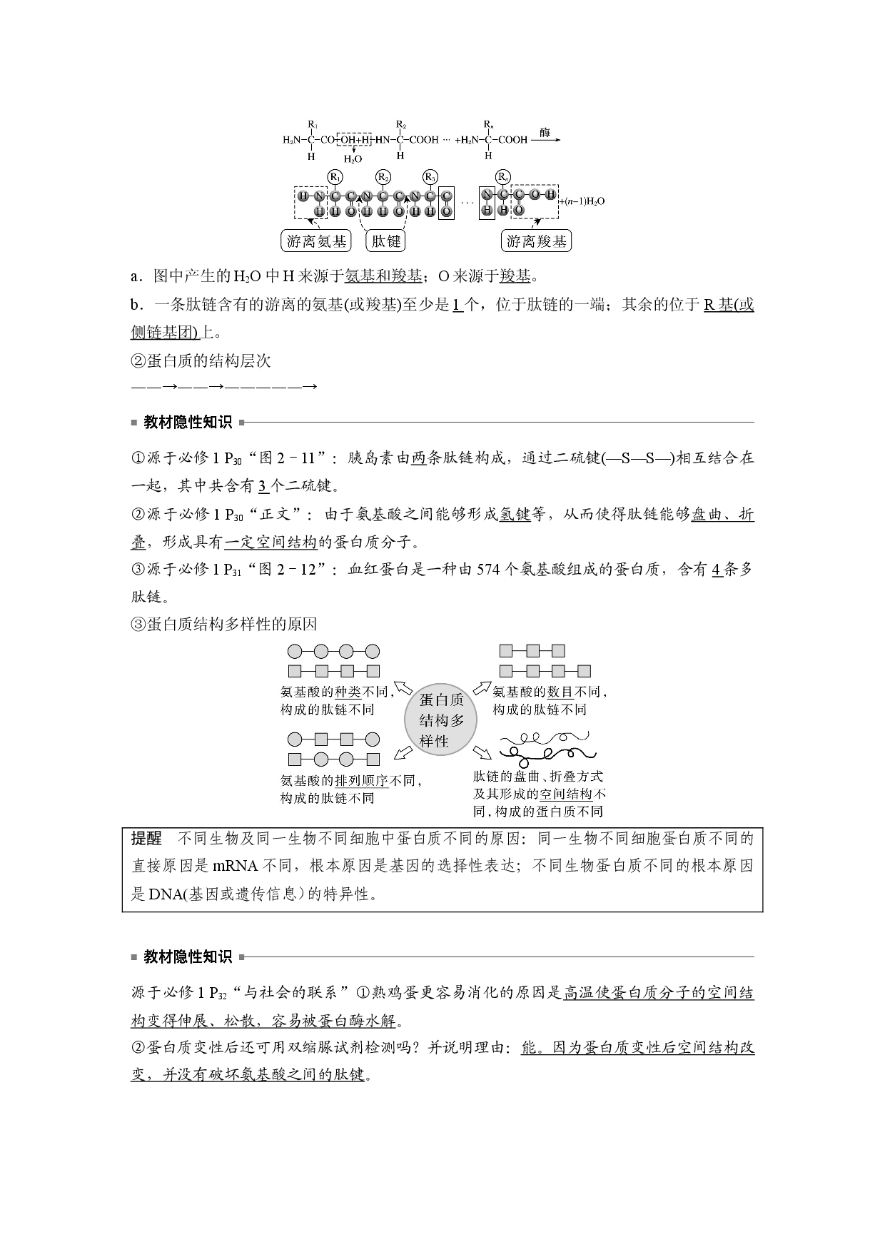 第一单元 第3课时　蛋白质是生命活动的主要承担者.docx 第2页