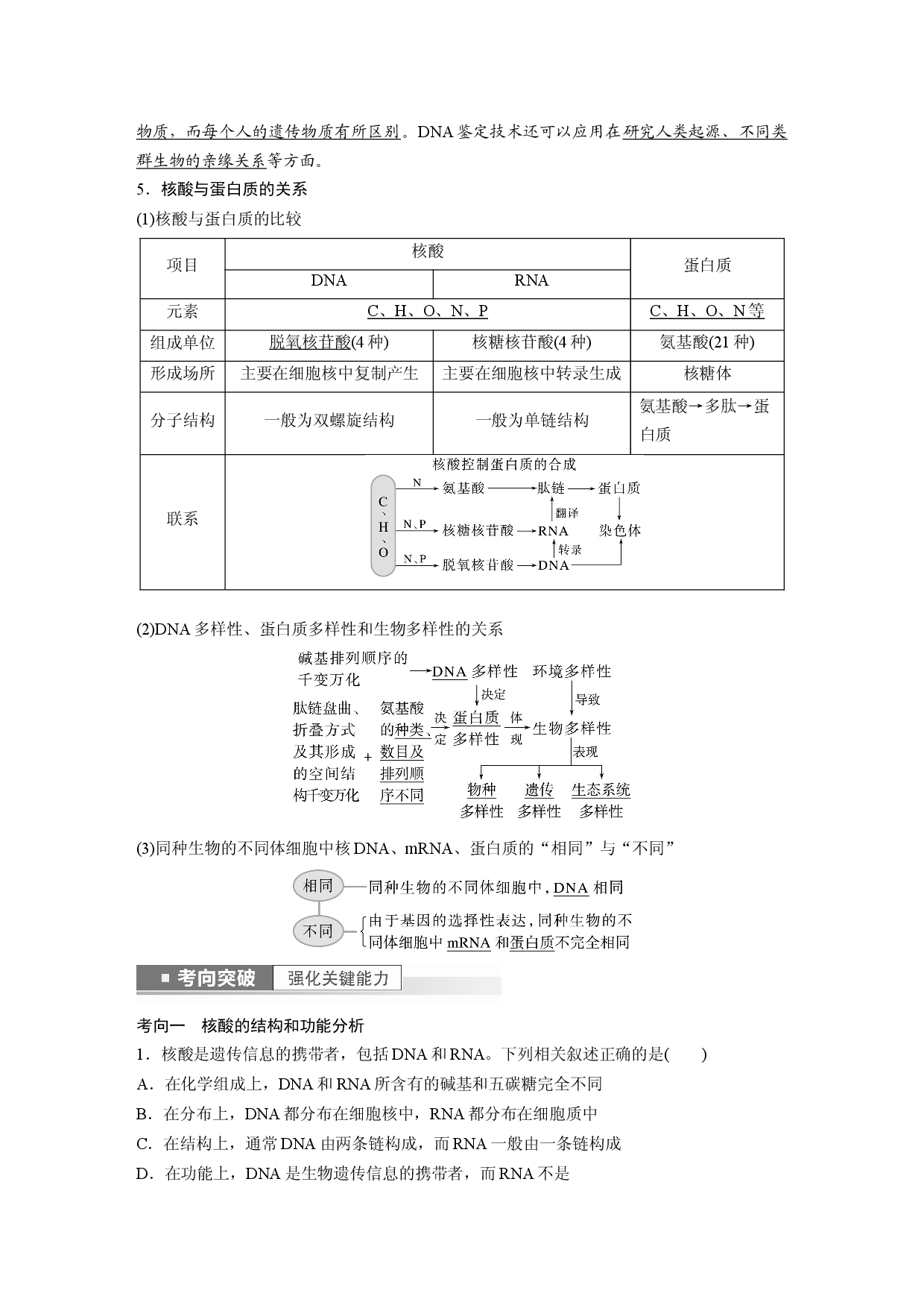 第一单元 第4课时　核酸是遗传信息的携带者.docx 第2页