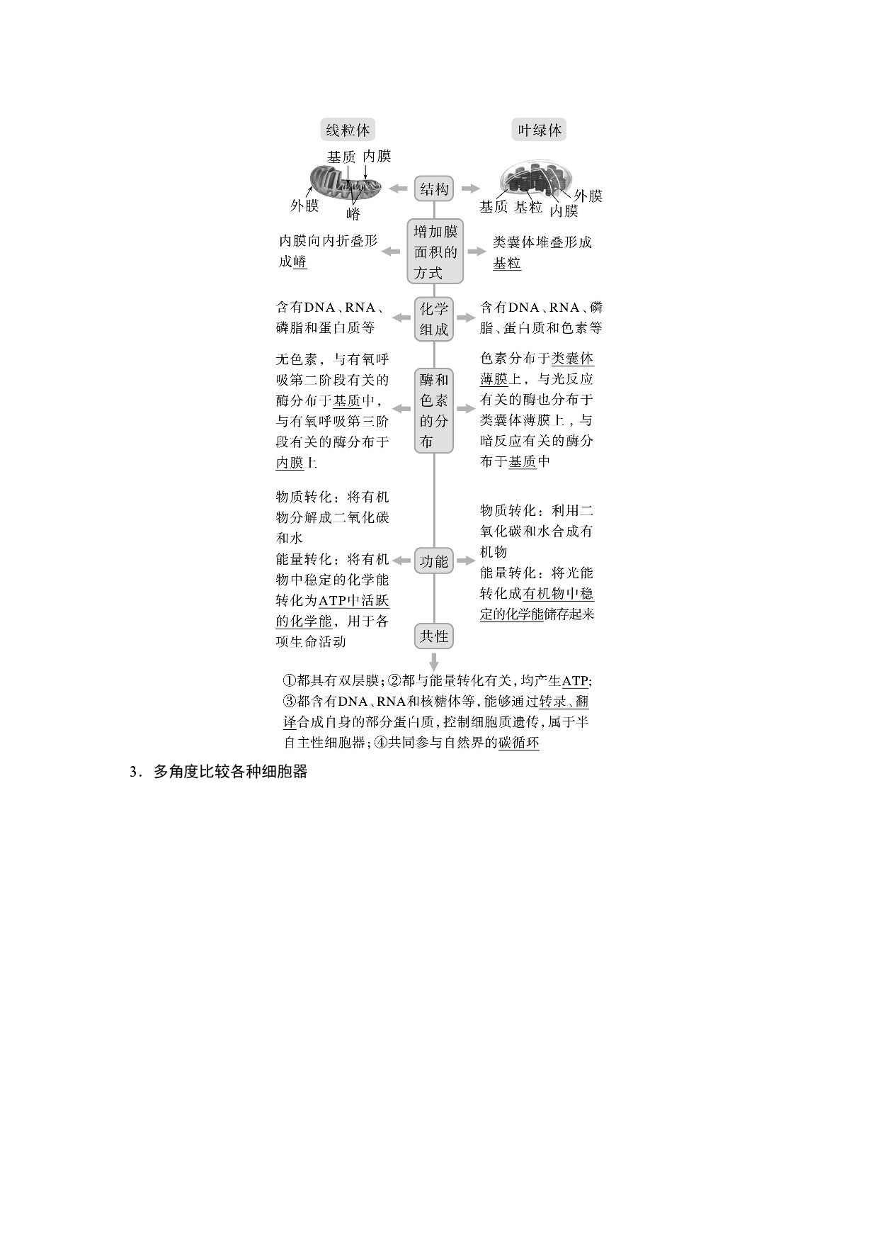 第二单元 第2课时　细胞器之间的分工.docx 第2页