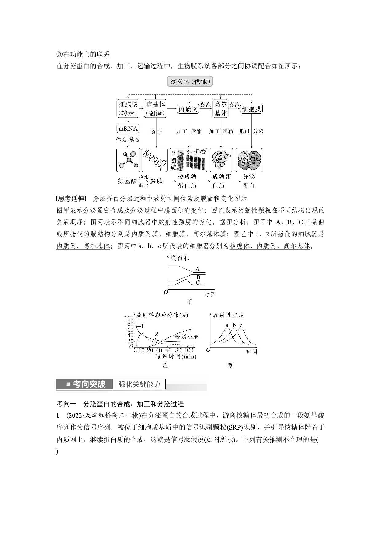 第二单元 第3课时　细胞器之间的协调配合.docx 第2页