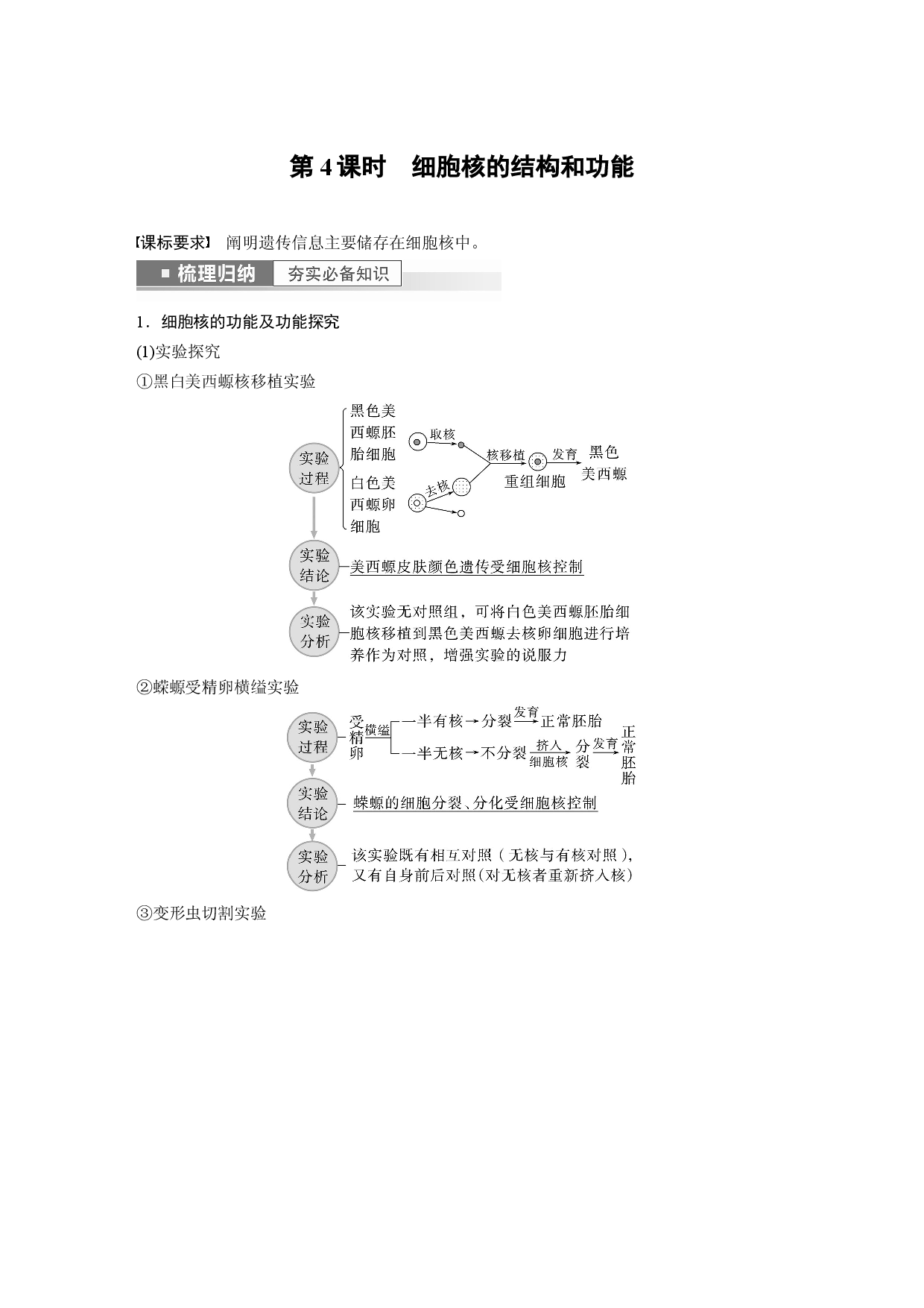 第二单元 第4课时　细胞核的结构和功能.docx 第1页