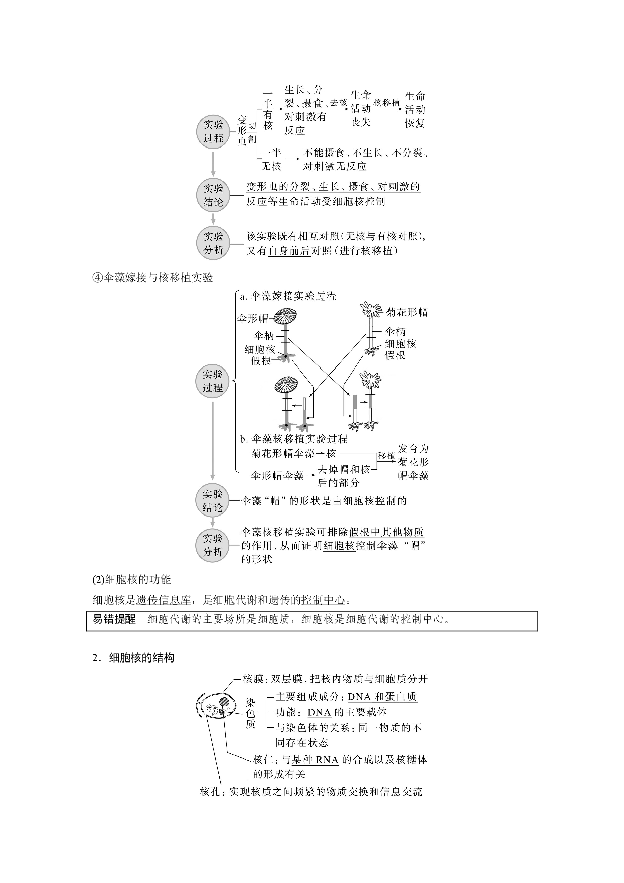 第二单元 第4课时　细胞核的结构和功能.docx 第2页